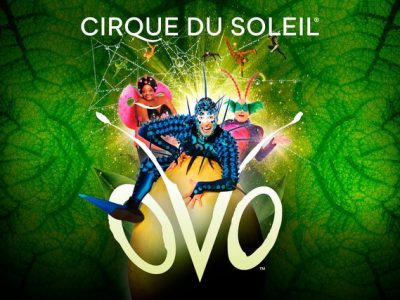 cirque_de_soleil_ovo[1]