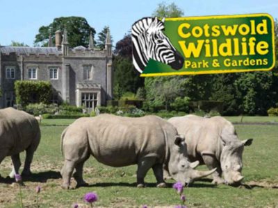 cotswold-wildlife-park[1]