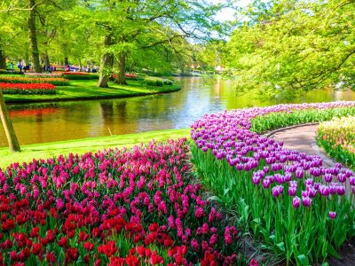 gardens-keukenhof-hd-2[1]
