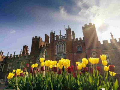 hampton-court-tulip-festival_65075[1]