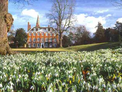 welford-park-snowdrops[1]